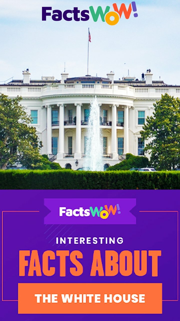 Facts you never knew about the White House