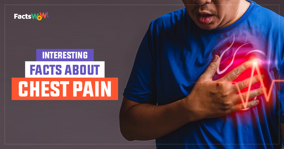 Various Causes For A Chest Pain Which Can Be Heartburn Or Heart Attack 