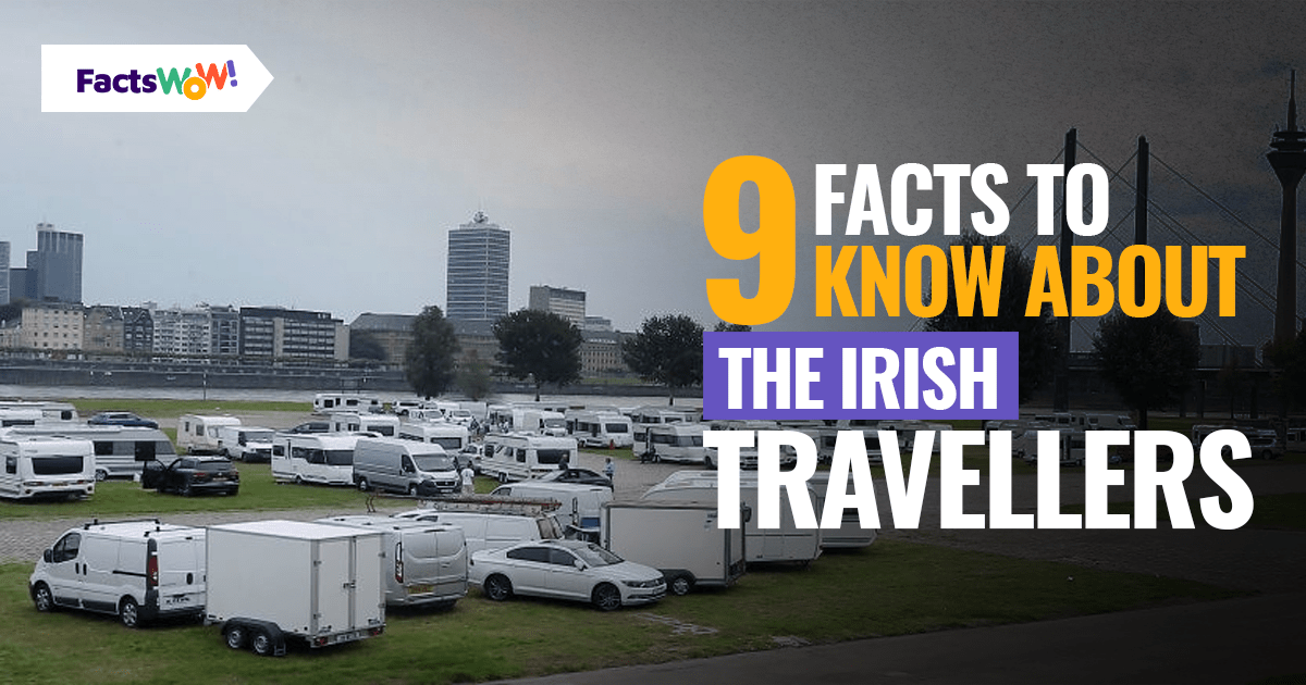 facts about travellers in ireland