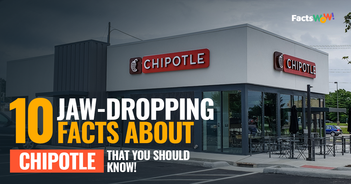 10 Jaw-dropping Facts About Chipotle That You Should Know! - FactsWOW ...