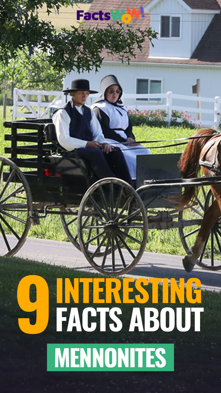 9 Interesting facts about the Mennonites that you never knew!