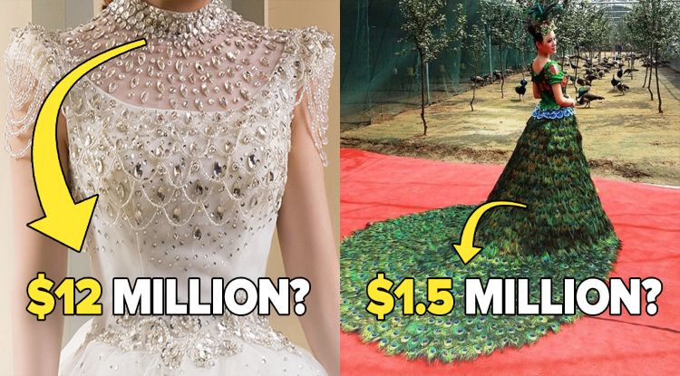 wedding-gowns-which-is-more-beautiful-than-the-bride-and-expensive-than