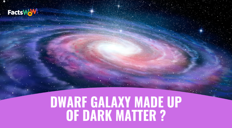 Existence And Evidence Of Dark Matter In The Galaxy;