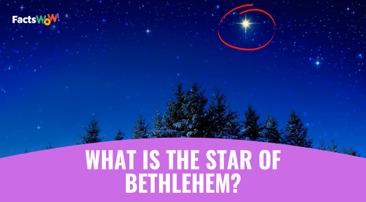 The Star of Bethlehem: Will it be visible in 2021? 