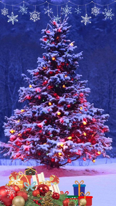 Xmas - May Your Days Be Merry & Bright