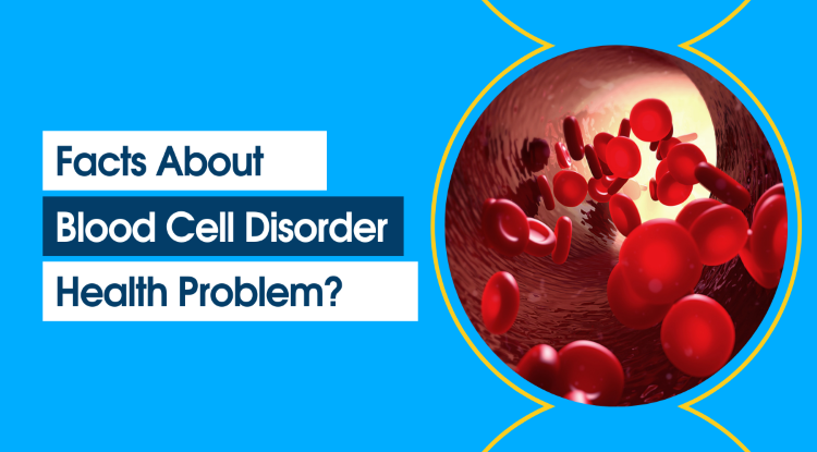 Disorder That Affects The Cells Formed In Bone Marrow Will Affect The Function Of Blood Cells