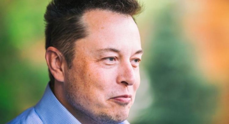 What Color Is Elon Musk's Favorite? It's Not Surprising That the Answer Is Complicated