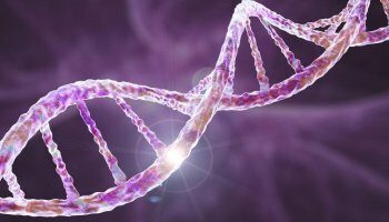 Here, finally, the fully sequenced human genome