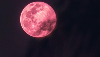 The exact time to see April's Full Pink Moon reaching its peak of brilliance - Part II