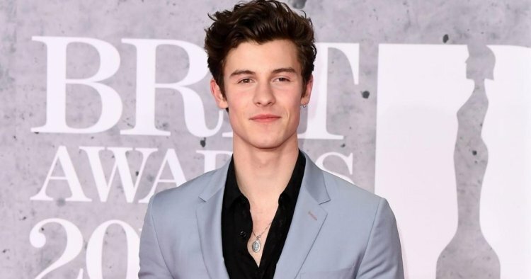 What is Shawn Mendes's net worth?