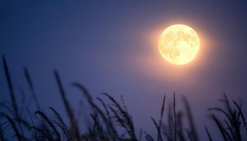 July Buck Moon: The crucial events happened this month