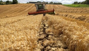 People are pushed into hunger! Ukrainian grain shipped out as huge relief!