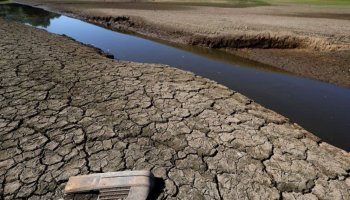 Climate crisis! Drought in parts of England due to amid heatwave and low rainfall! 