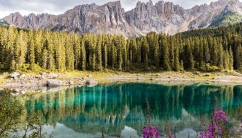 Are you aware of the stunning innovations that have their inspiration from nature