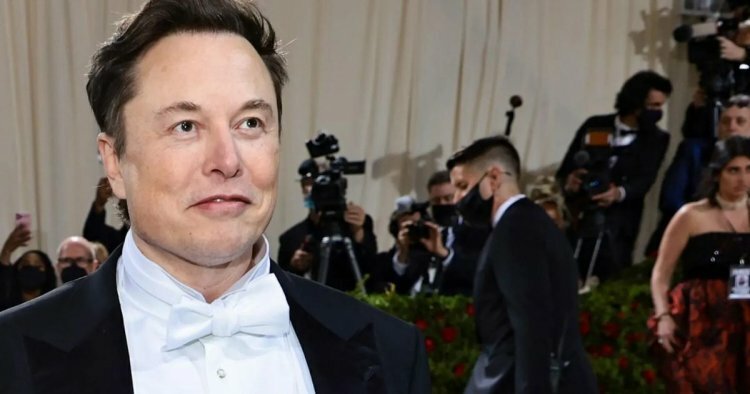 Is Elon Musk developing a new social media platform to compete with Twitter? Take a look at what Tesla's CEO hinted at