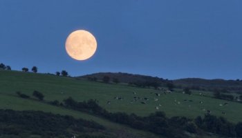 The harvest moon will soon rise! Hope the weather will allow you to witness it