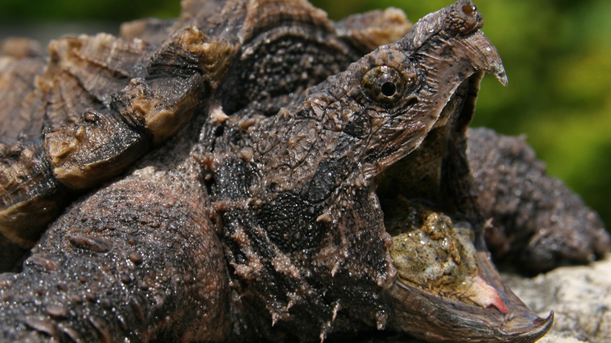 Officials reach them to talk about their catch: